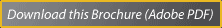 Download this brochure (Adobe PDF)